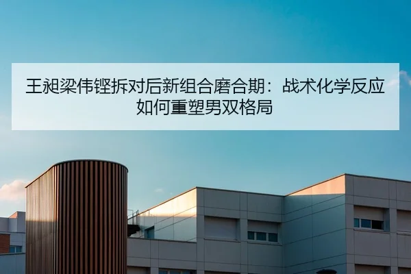 王昶梁伟铿拆对后新组合磨合期：战术化学反应如何重塑男双格局