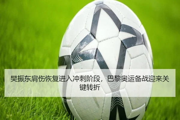 樊振东肩伤恢复进入冲刺阶段，巴黎奥运备战迎来关键转折