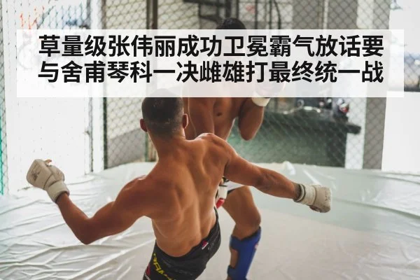 MMA fight