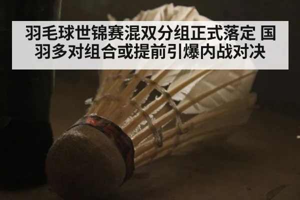 羽毛球世锦赛混双分组正式落定 国羽多对组合或提前引爆内战对决
